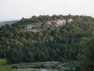 IMGP0575.JPG