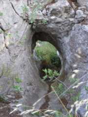 IMGP0597.JPG