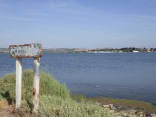 IMGP0603.JPG
