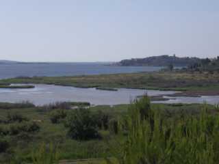 IMGP0611.JPG