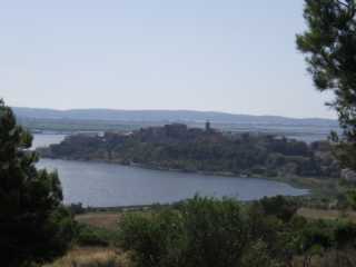 IMGP0613.JPG