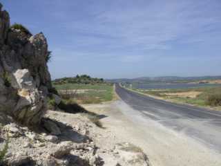 IMGP0616.JPG