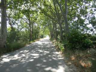 IMGP0618.JPG