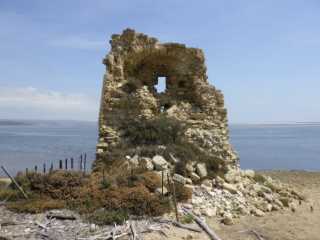 IMGP0624.JPG