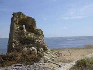 IMGP0626.JPG