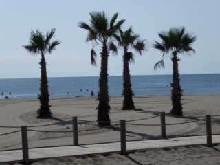 IMGP0639.JPG