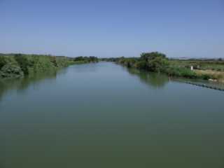 IMGP0658.JPG