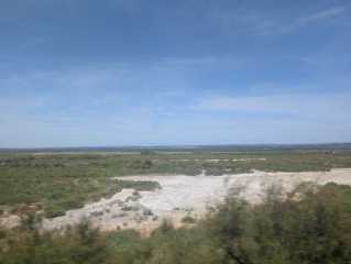 PXL_20260701_110310457.jpg