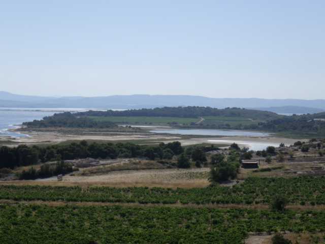 IMGP0533.JPG