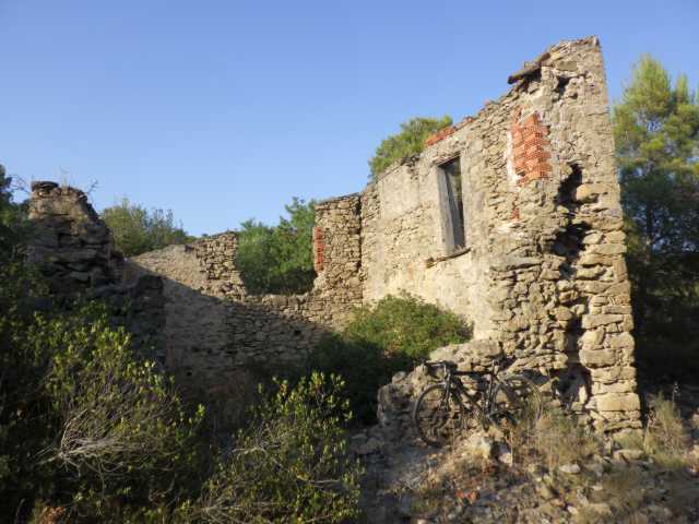 IMGP0557.JPG