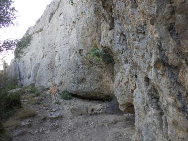 IMGP0560.JPG