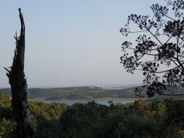 IMGP0568.JPG
