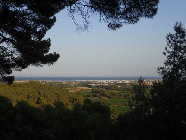 IMGP0569.JPG