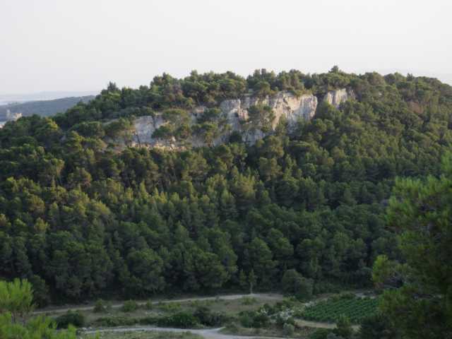 IMGP0575.JPG