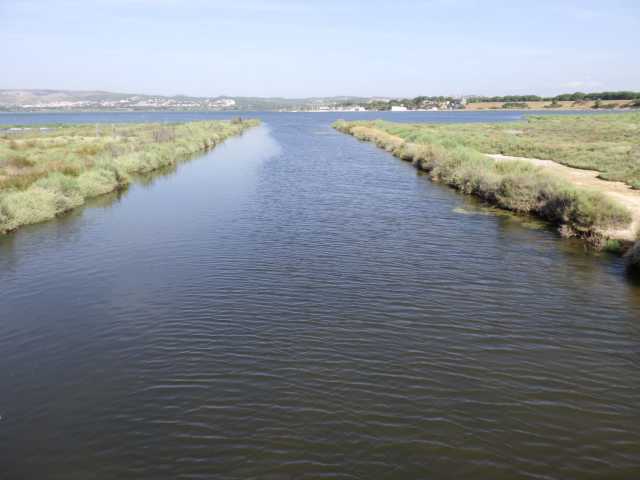 IMGP0607.JPG