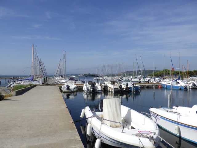 IMGP0609.JPG