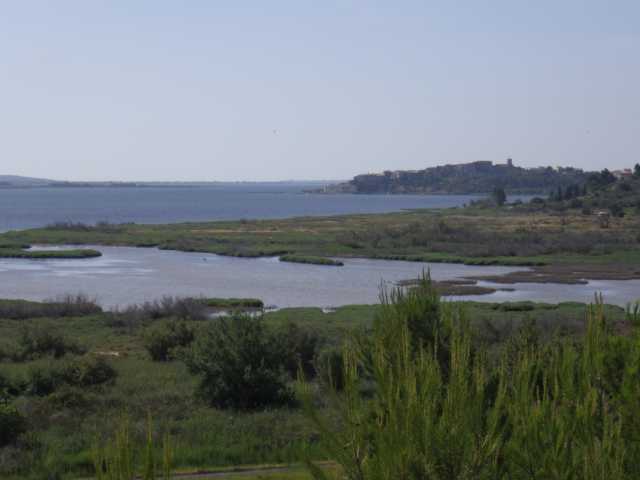 IMGP0611.JPG