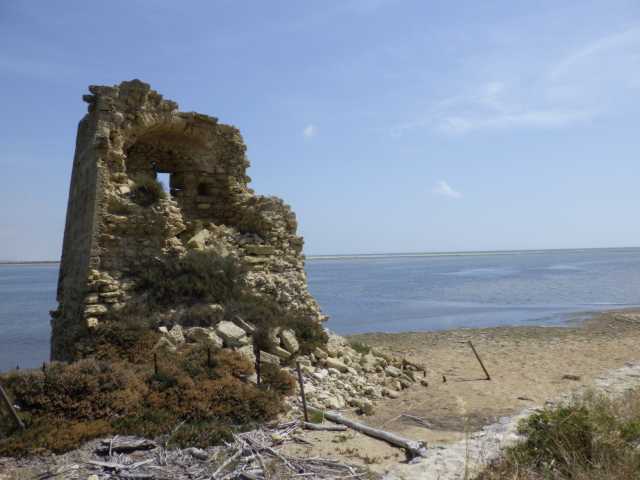 IMGP0626.JPG