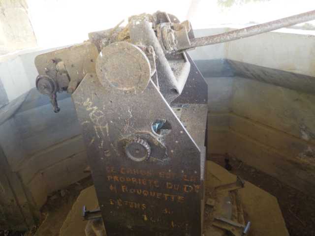 IMGP0635.JPG