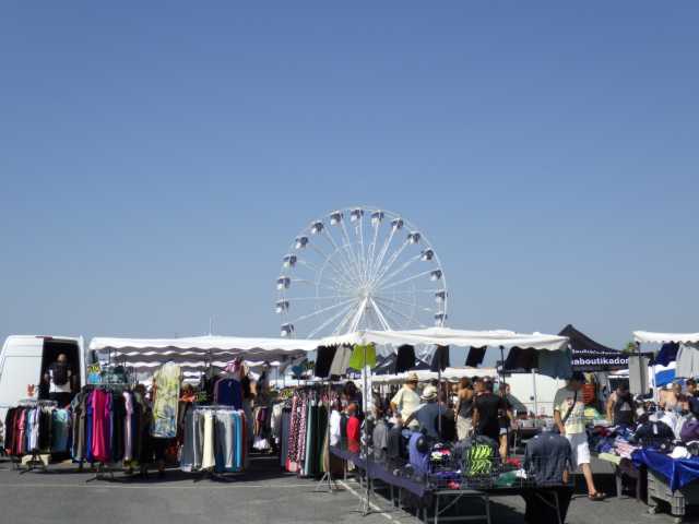 IMGP0644.JPG