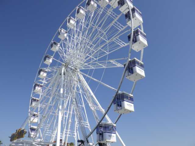 IMGP0649.JPG