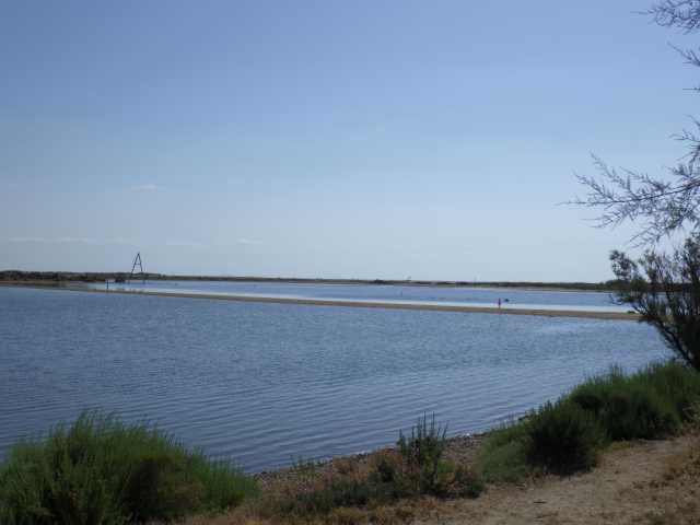 IMGP0651.JPG