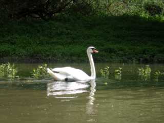 IMGP0427.JPG