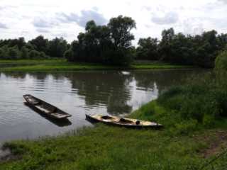 IMGP0432.JPG