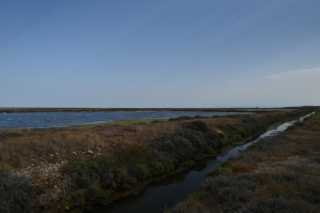 DSC_9488.JPG