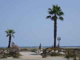 IMGP0699.JPG