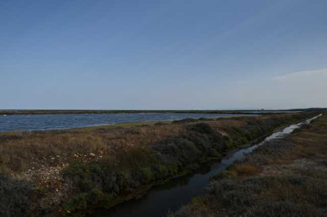 DSC_9488.JPG