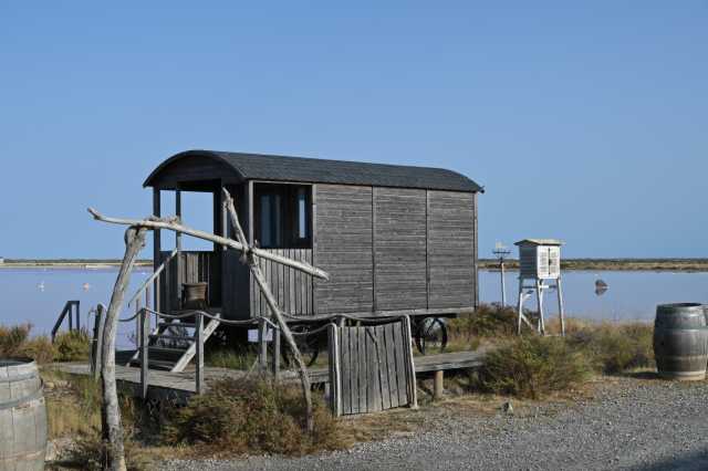 DSC_9503.JPG