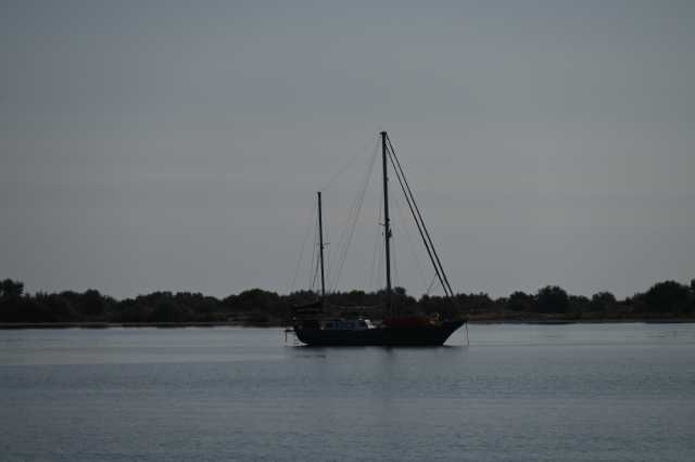 DSC_9540.JPG