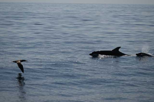 DSC_9658.JPG