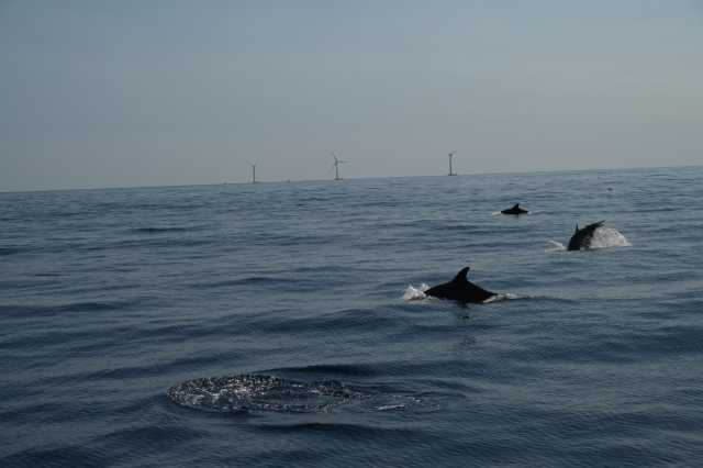 DSC_9840.JPG