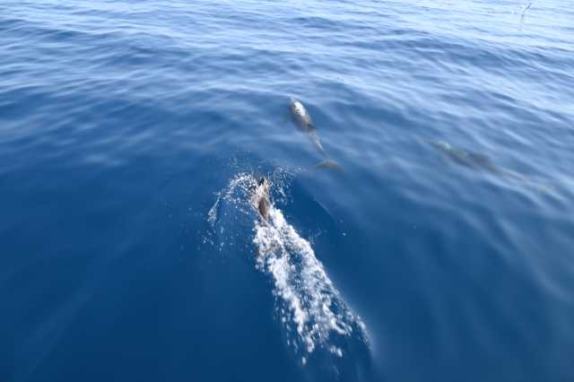 DSC_9898.JPG